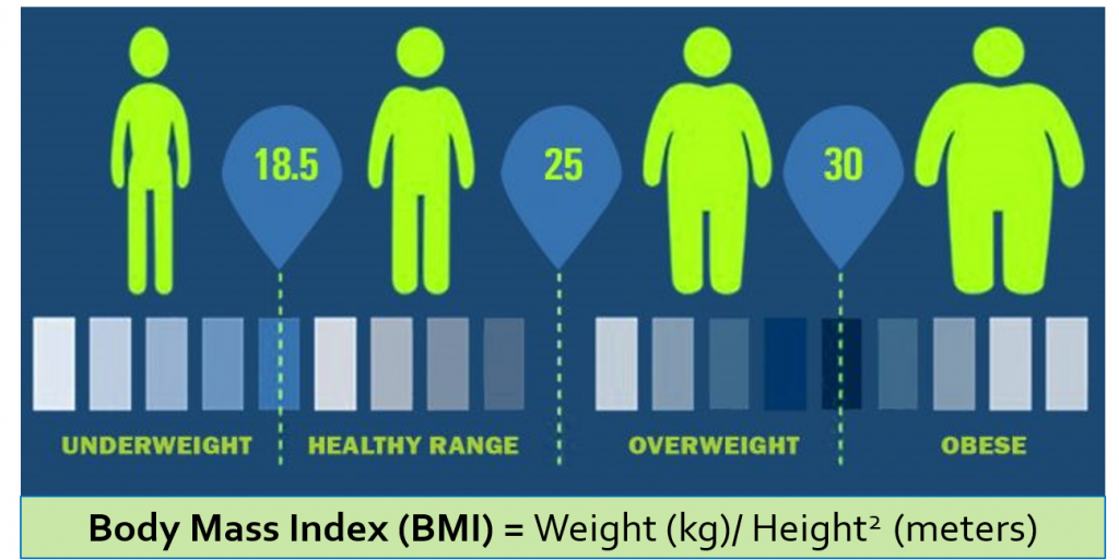 Morbidly Obese BMI Chart