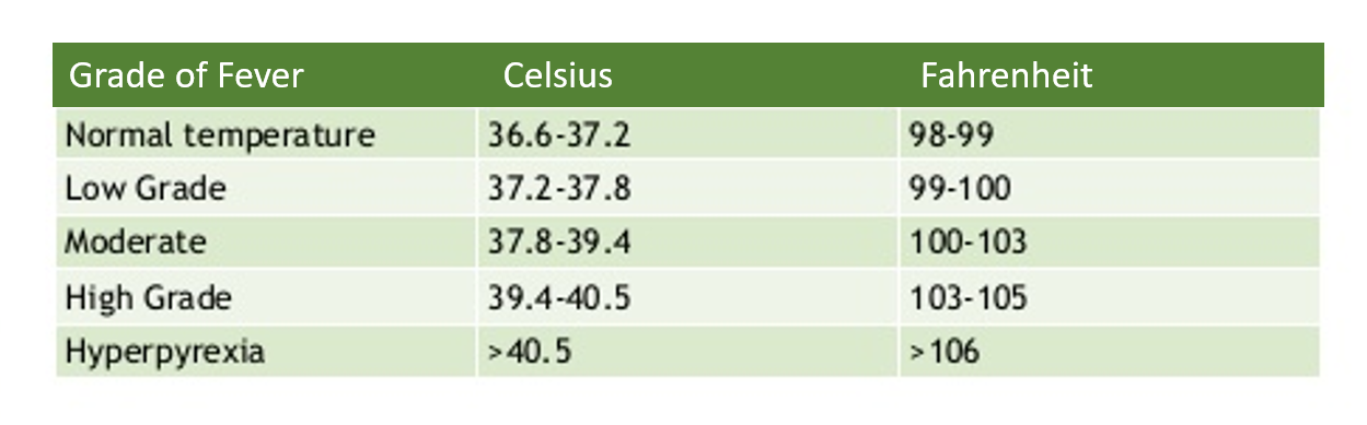 what-is-a-low-grade-fever-99science