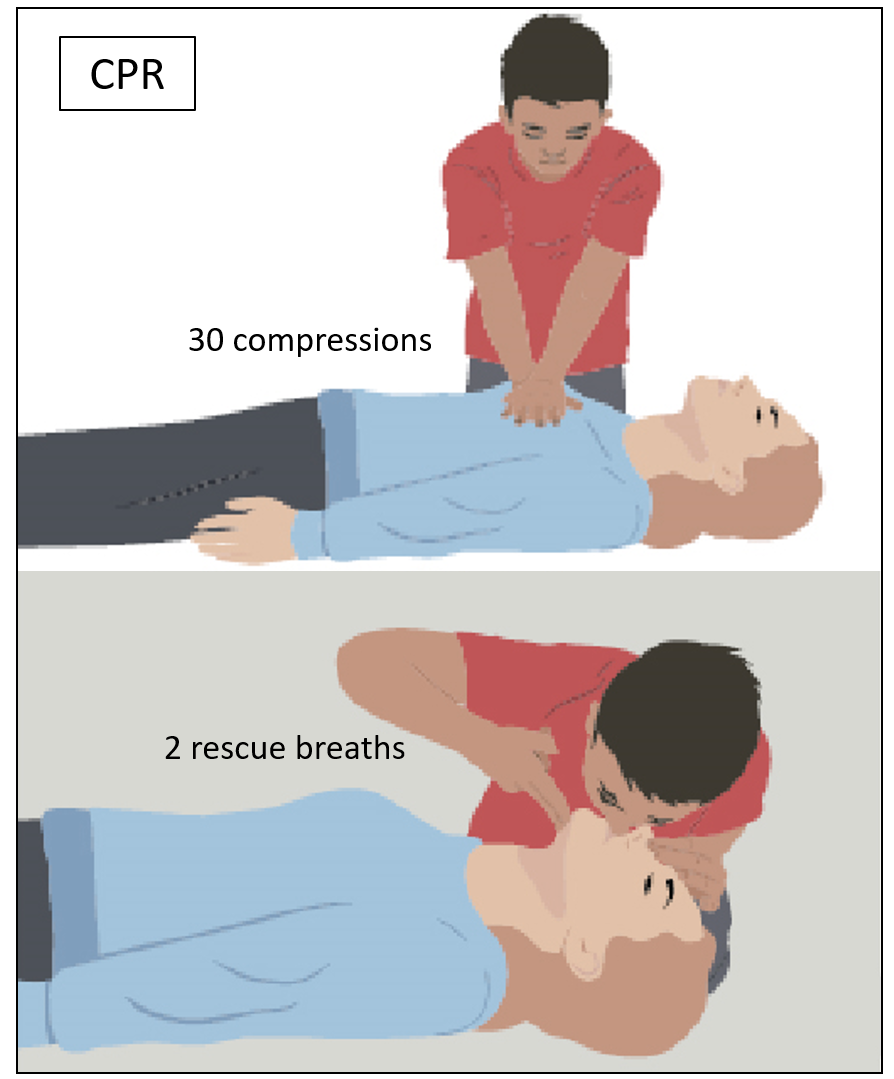 CPR basics for first aid and revival