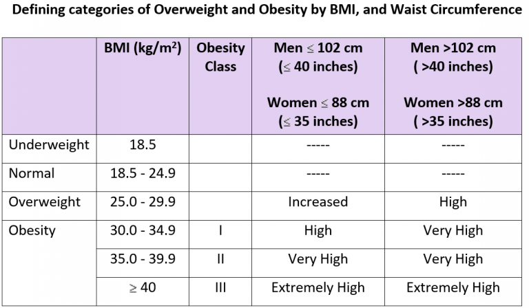 Body Mass Index (BMI) and Obesity - Health Impact and Risks