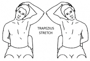 TRAPEZIUS STRETCH EXERCISE