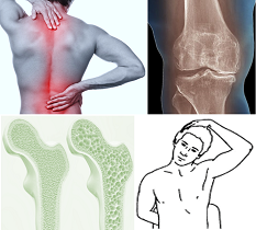 Bone Muscle Joint Pain