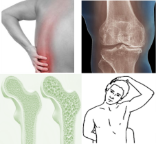 Bone, Joint, Muscle health