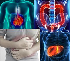 Gastrointestinal and liver diseases