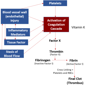 coagulation