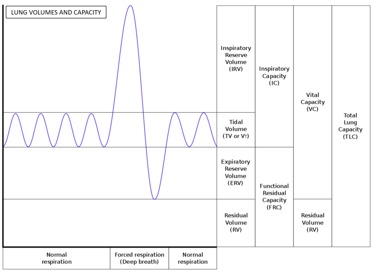 Pulmonary Function Tests Pft Overview And Understanding