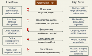 Temperament and Personality Types, Traits and Disorders