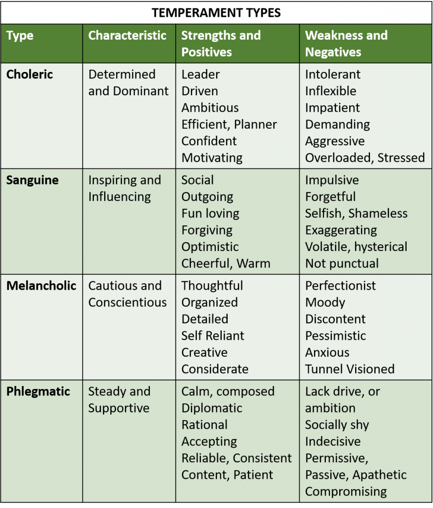 Understanding The 3 Types Of Temperament Psychology