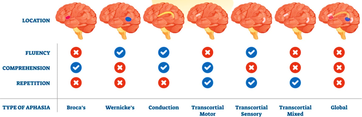 types of aphasia