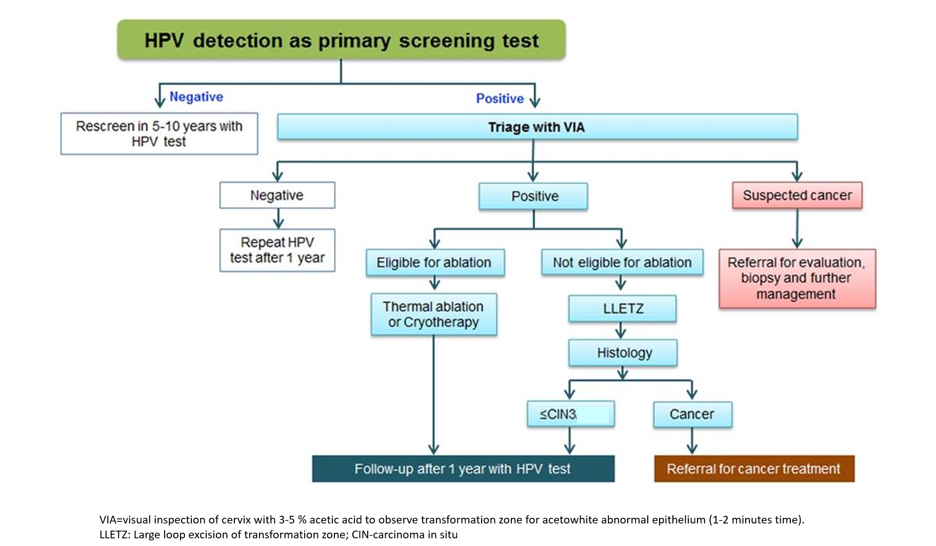 colposcopy triage