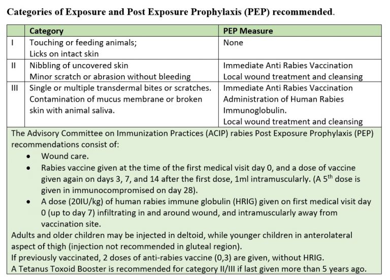 Rabies - 5 Important Points of Awareness and Guidance