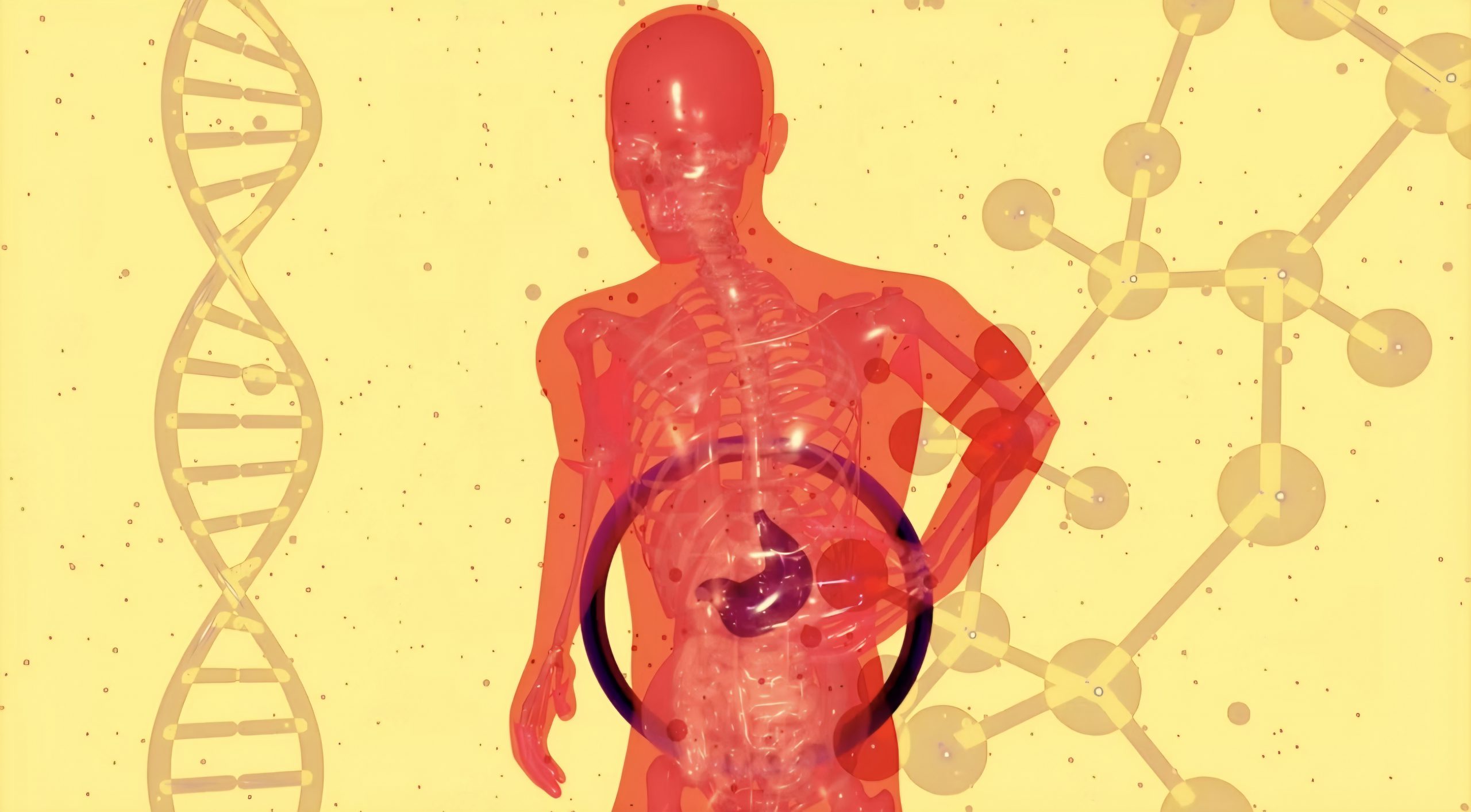 gut brain axis